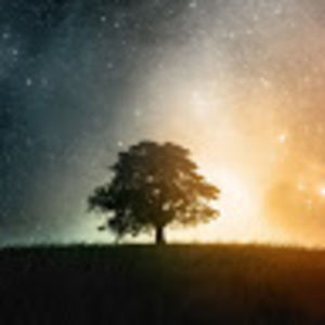 Meet your Posher, Kacey